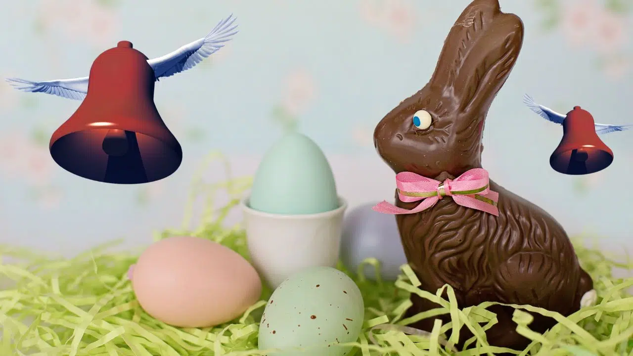 Pour pâques Team lapin ou team cloche Pour pâques Team lapin ou team cloche