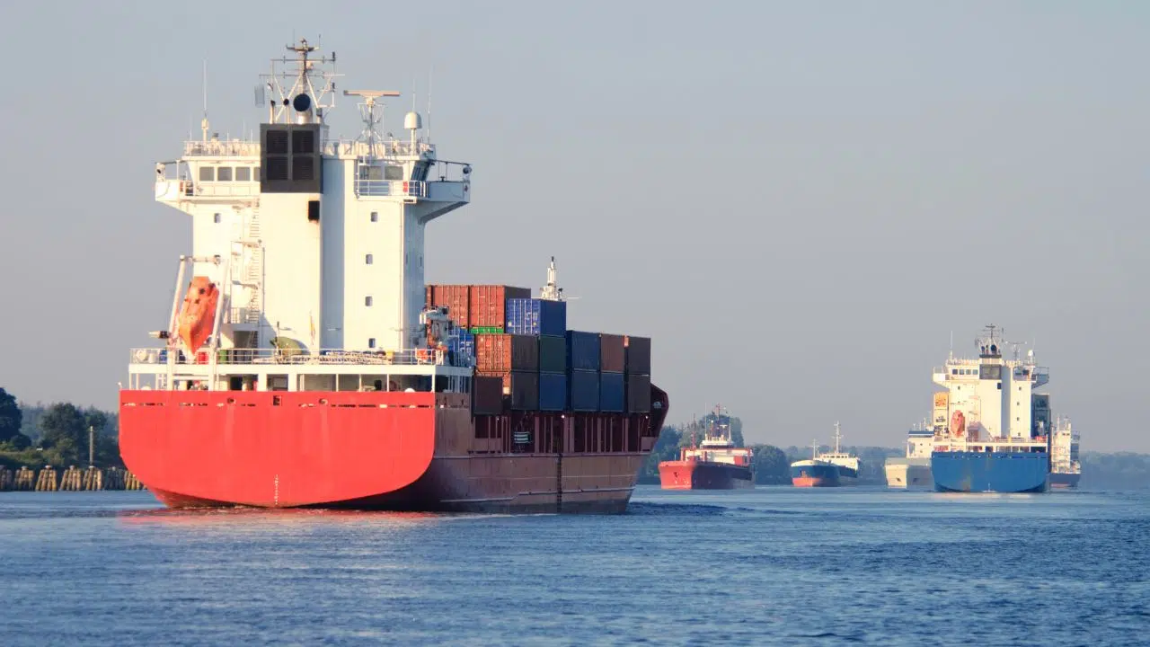 Une avancée historique de l'UE pour la protection de la vie marine adoption de limites sur la pollution sonore sous-marine Une avancée historique de l'UE pour la protection de la vie marine adoption de limites sur la pollution sonore sous-marine