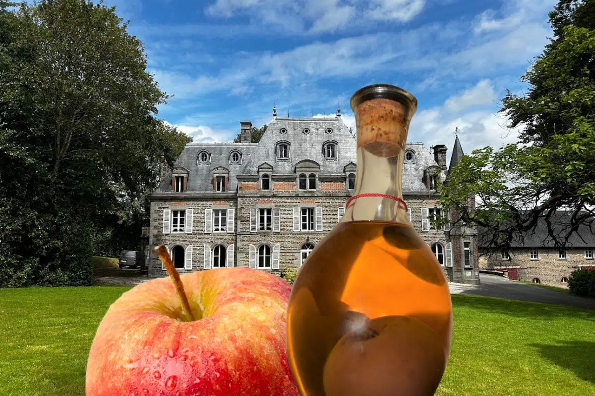 Ce célèbre spiritueux français redevient à la mode dans le monde entier grâce à cette marque ancestrale ressuscitée Ce célèbre spiritueux français redevient à la mode dans le monde entier grâce à cette marque ancestrale ressuscitée