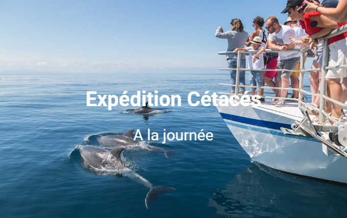 Explore Ocean