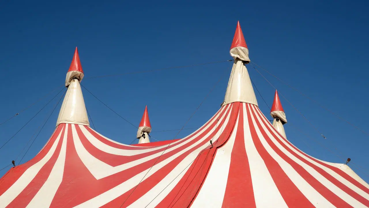 Journée mondiale du cirque le 15 avril 2024 Journée mondiale du cirque le 15 avril 2024