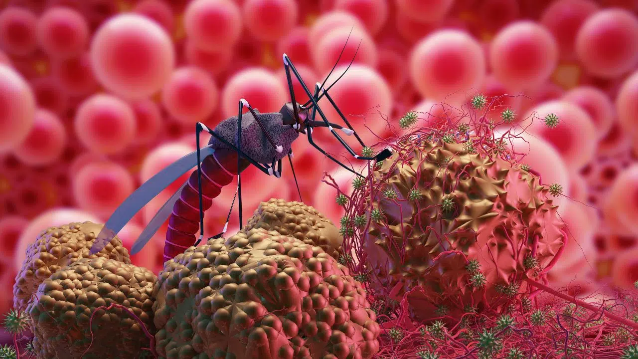 Journée mondiale du paludisme le 25 avril 2024 Journée mondiale du paludisme le 25 avril 2024