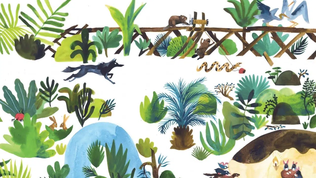 Livre Manqué ! Quand la solidarité triomphe dans la forêt Livre Manqué ! Quand la solidarité triomphe dans la forêt