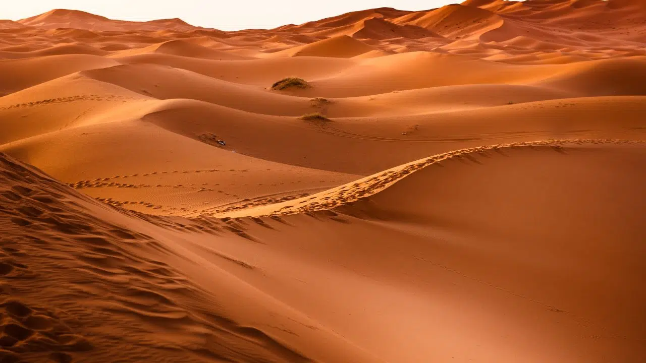 Pourquoi l’Arabie Saoudite importe du sable Pourquoi l’Arabie Saoudite importe du sable