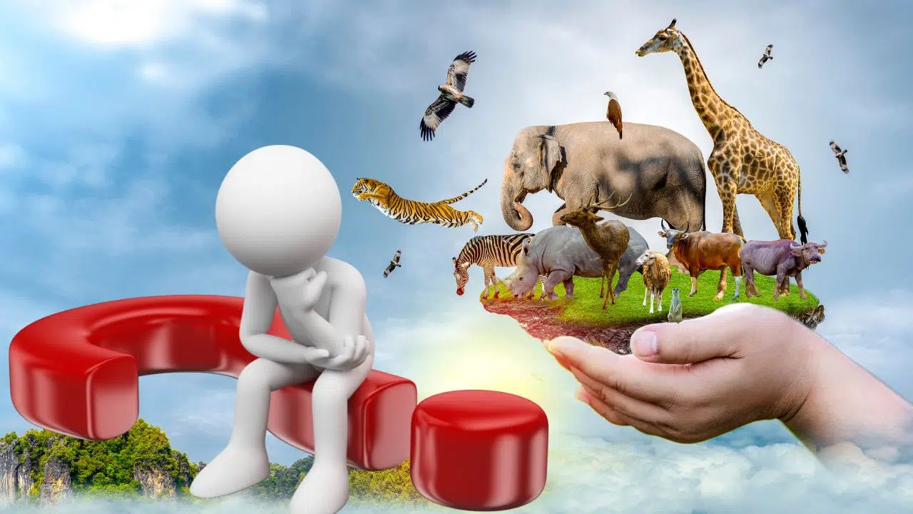 Quels animaux sont capables de respirer par l’anus Quels animaux sont capables de respirer par l’anus