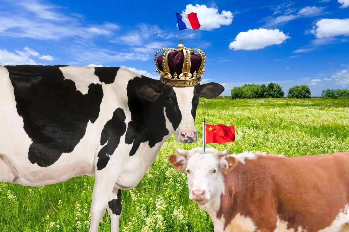 Le géant français du lait détrôné par un concurrent inattendu qui affirme être le nouveau leader mondial du secteur Le géant français du lait détrôné par un concurrent inattendu qui affirme être le nouveau leader mondial du secteur