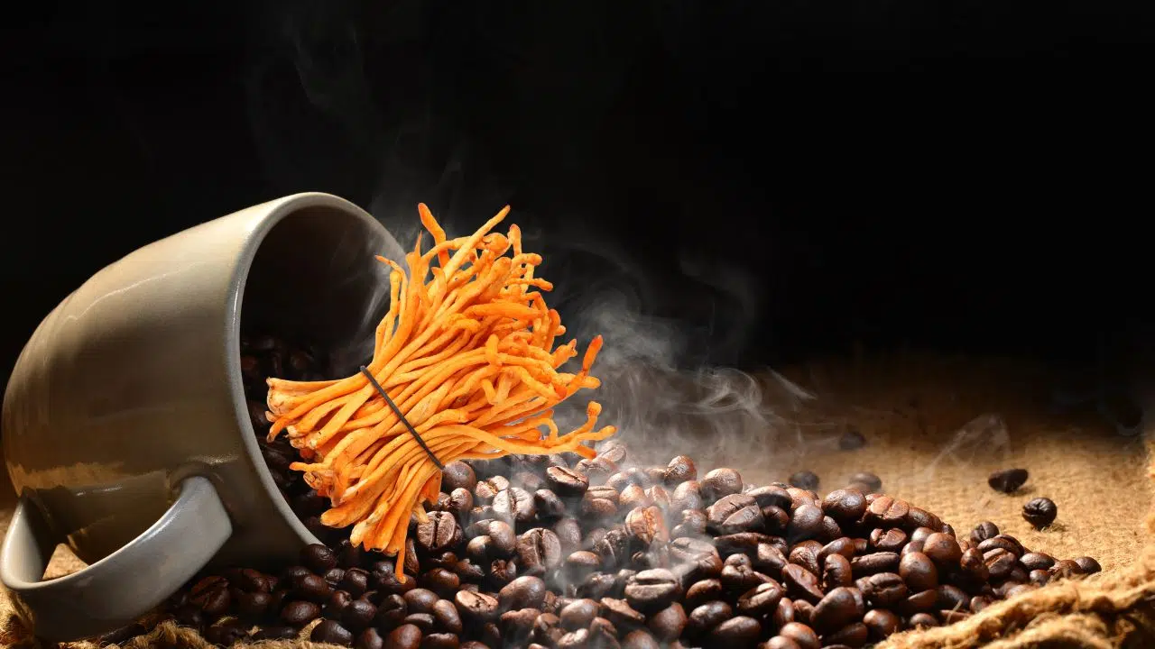 Dites adieu à la fatigue le café aux champignons Cordyceps fait fureur en France