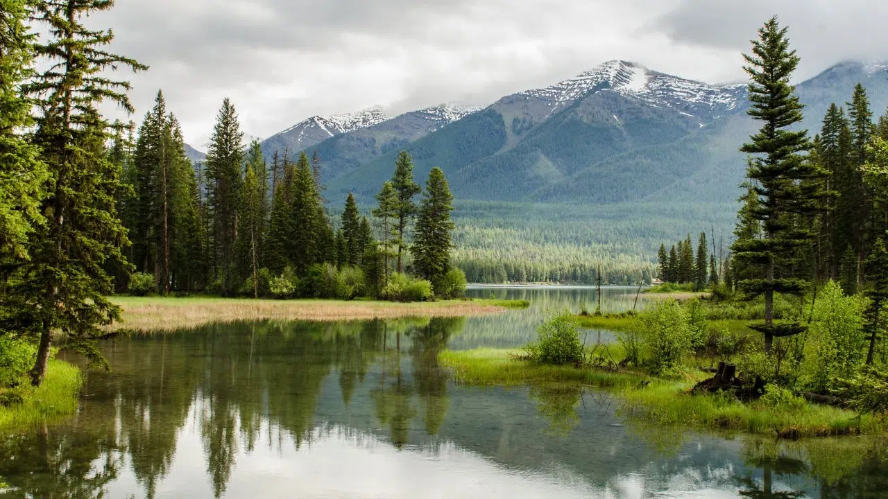 Enerfip atteint les 500 millions d’euros collectés pour la transition énergétique Enerfip atteint les 500 millions d’euros collectés pour la transition énergétique