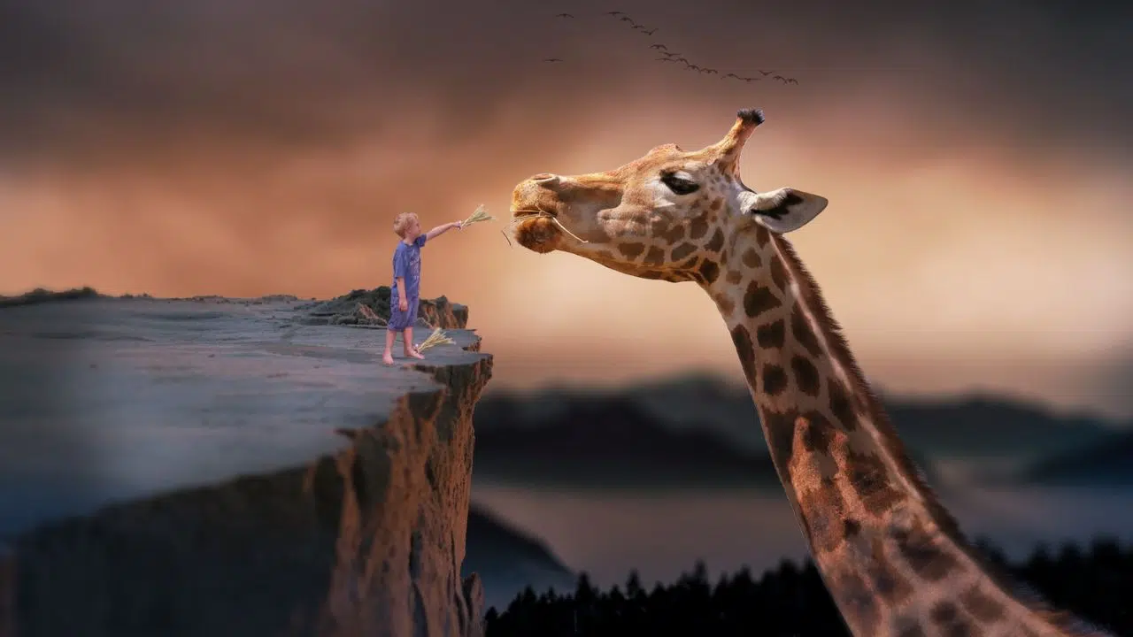 Est ce vraiment possible d'apprendre à contrôler ses rêves Est ce vraiment possible d'apprendre à contrôler ses rêves