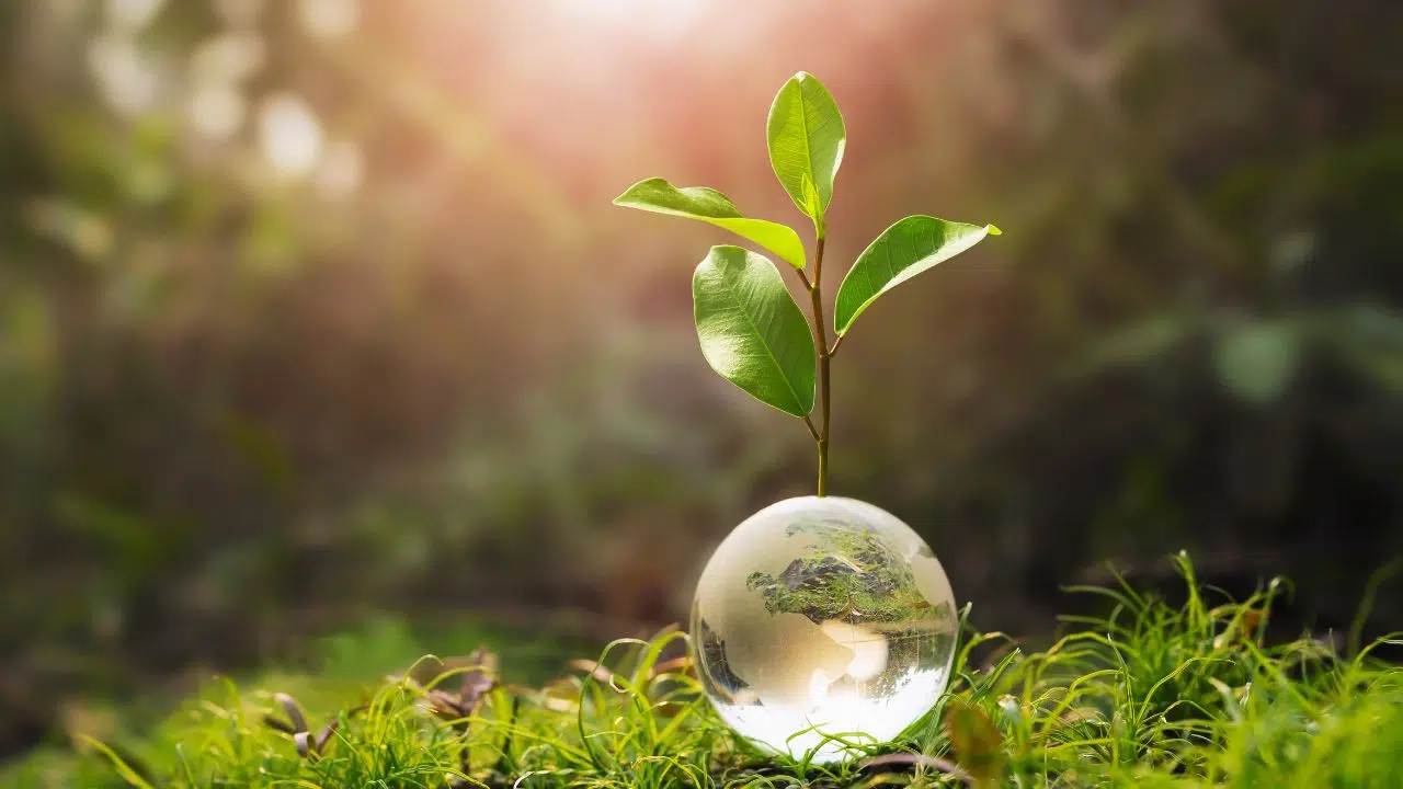 Inauguration de la Centrale Biogaz des Maringouins Un projet pionnier pour la Guyane
