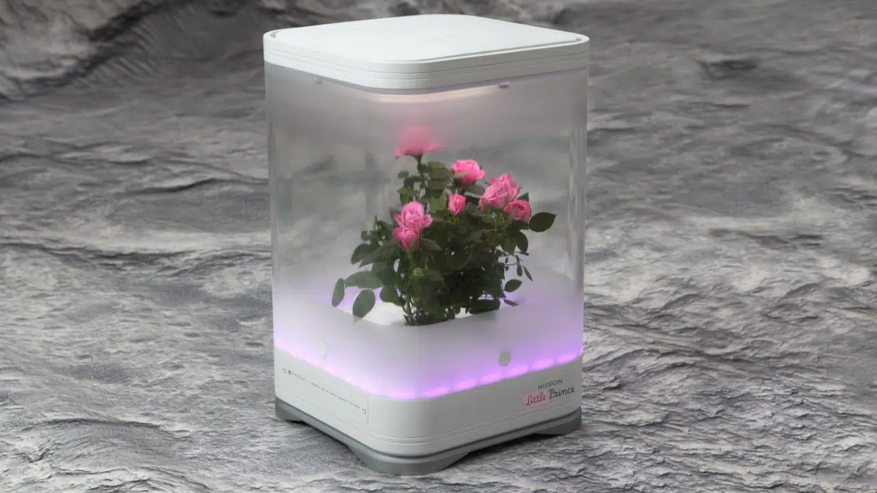 Interstellar Lab et la Fondation Antoine de Saint Exupéry vont cultiver des roses sur la Lune Interstellar Lab et la Fondation Antoine de Saint Exupéry vont cultiver des roses sur la Lune