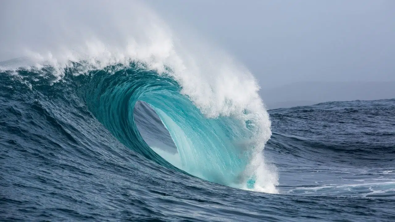 Journée européenne de la mer les 30 et 31 mai 2024 Journée européenne de la mer les 30 et 31 mai 2024