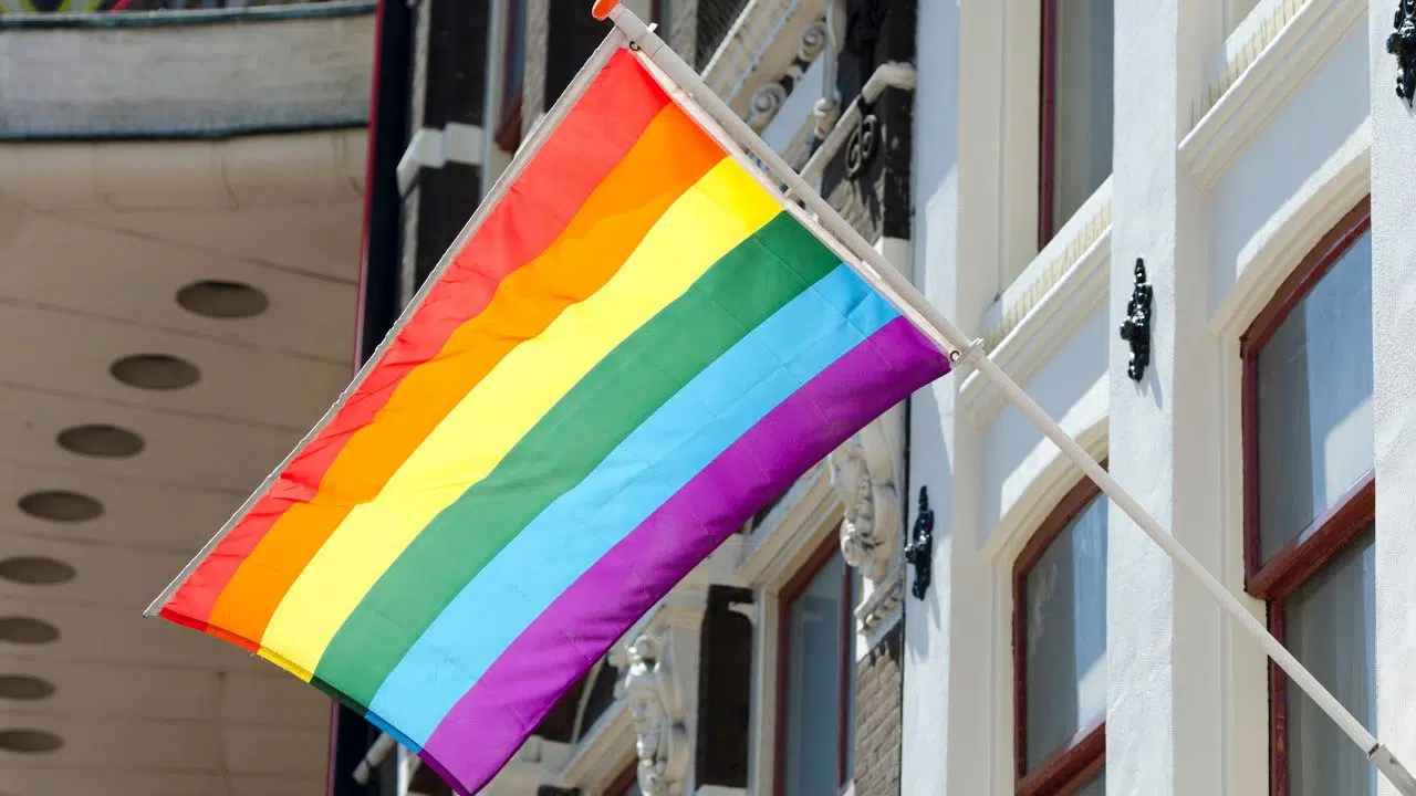 Journée internationale contre l'homophobie : le 17 mai 2024 Journée internationale contre l'homophobie : le 17 mai 2024