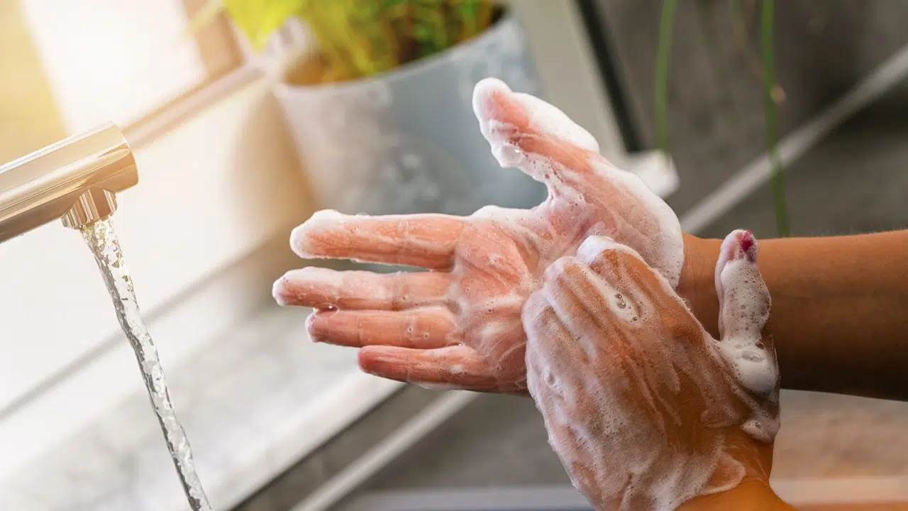 Journée mondiale de l'hygiène des mains le 5 mai 2024