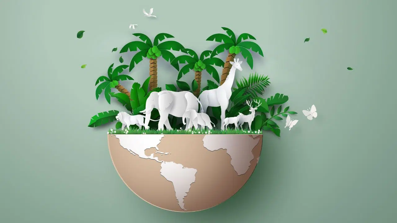 Journée mondiale des espèces menacées le 11 mai 2024 Journée mondiale des espèces menacées le 11 mai 2024