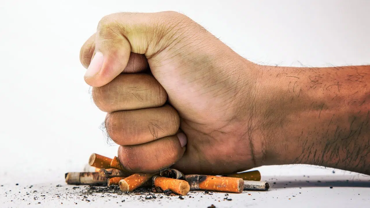 Journée mondiale sans tabac : le 31 mai 2024 Journée mondiale sans tabac : le 31 mai 2024