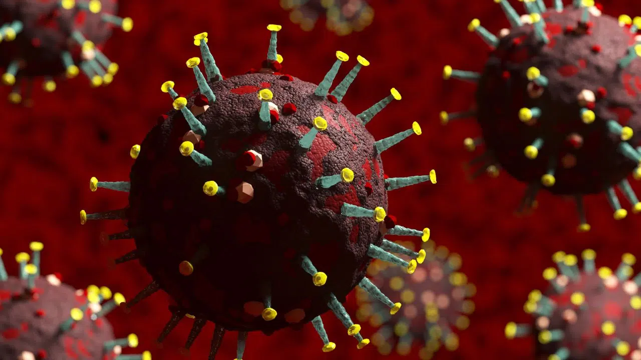 L'Australie a inauguré a première installation clinique d'essais d’infection contrôlée chez l’Homme L'Australie a inauguré a première installation clinique d'essais d’infection contrôlée chez l’Homme