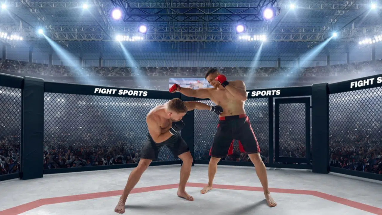 L'ascension du MMA en France Analyse d'un engouement grandissant L'ascension du MMA en France Analyse d'un engouement grandissant