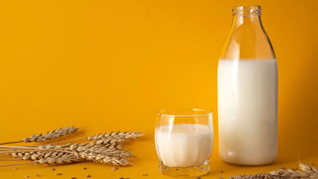 Les laits végétaux sont-Ils bons pour la santé