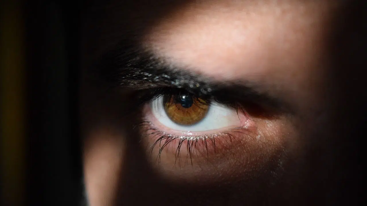 L'instauration du devoir de vigilance au niveau européen L'instauration du devoir de vigilance au niveau européen