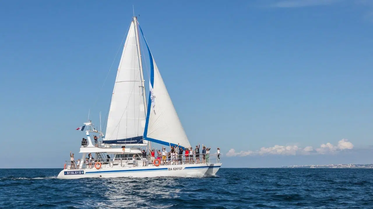 Pavillon Bleu Une première en France, Atalaya le catamaran d'Explore Océan obtient le label pour les bateaux Éco-Touristiques Pavillon Bleu Une première en France, Atalaya le catamaran d'Explore Océan obtient le label pour les bateaux Éco-Touristiques