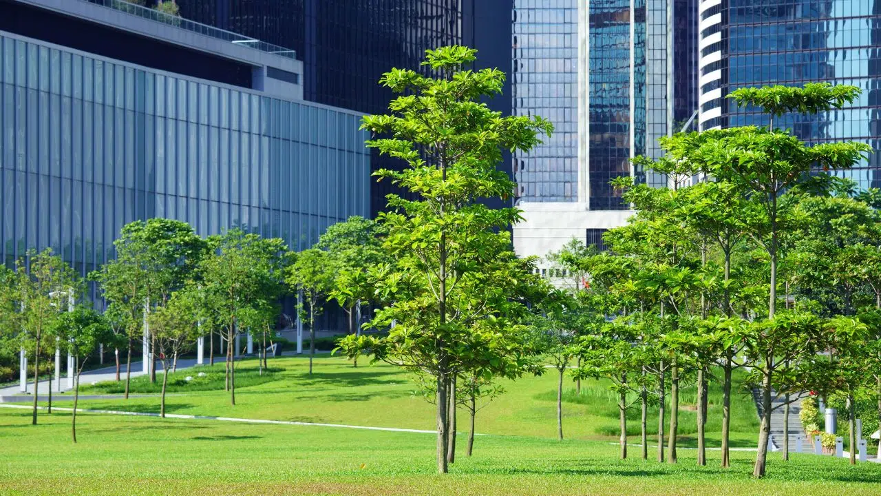 Eco-bilan positif 22 000 décès et 275 000 pathologies chroniques évités grâces aux zones vertes en milieu urbain Eco-bilan positif 22 000 décès et 275 000 pathologies chroniques évités grâces aux zones vertes en milieu urbain