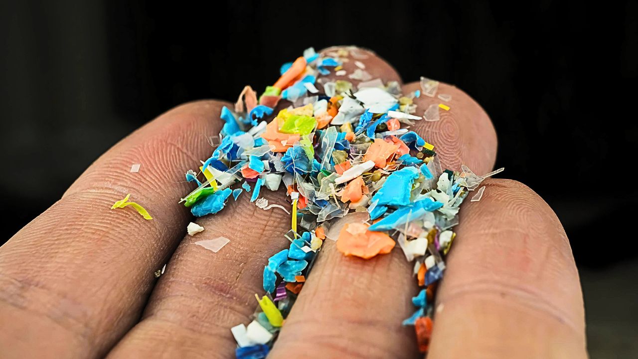 Incroyable les nanobots photoréactifs fonctionnent pour dépolluer les eaux des nanoplastiques