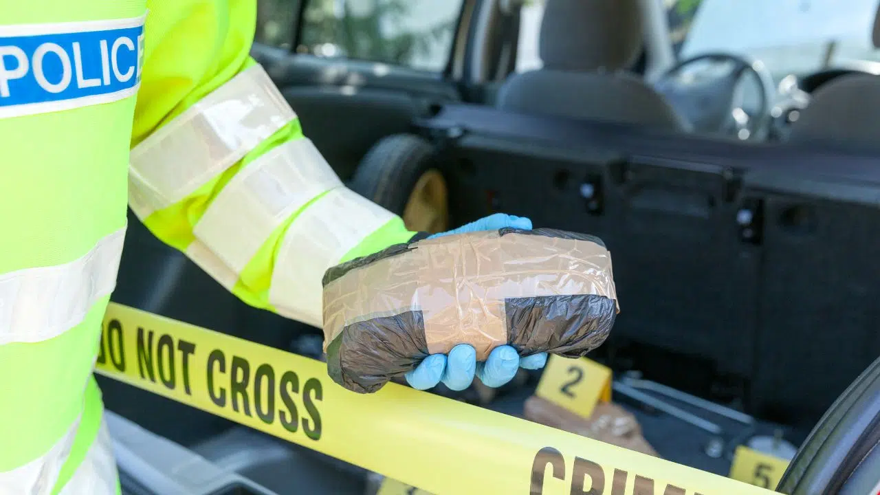 Journée Internationale contre l'abus et le trafic illicite de drogues le 26 juin 2024 Journée Internationale contre l'abus et le trafic illicite de drogues le 26 juin 2024