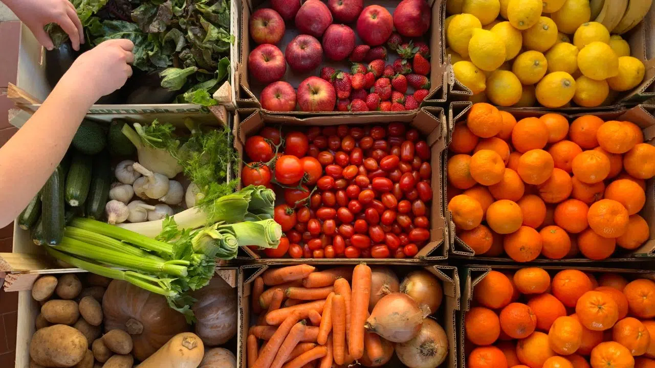 Journée de la gastronomie durable le 19 juin 2024 Journée de la gastronomie durable le 19 juin 2024