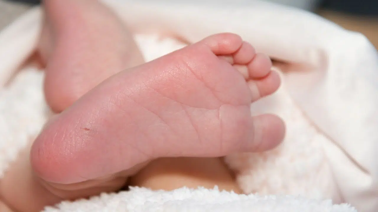 Journée internationale de la phénylcétonurie le 28 juin 2024 Journée internationale de la phénylcétonurie le 28 juin 2024