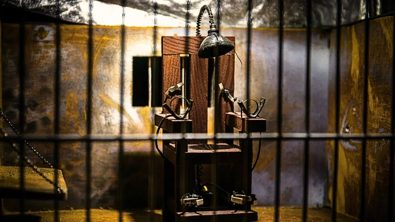 Journée internationale des nations unies pour le soutien aux victimes de la torture le 26 juin 2024 Journée internationale des nations unies pour le soutien aux victimes de la torture le 26 juin 2024