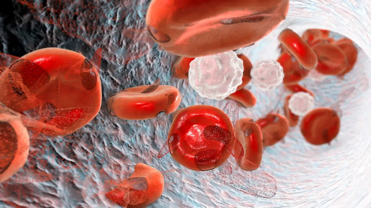 Journée mondiale de la drépanocytose : le 18 juin 2024 Journée mondiale de la drépanocytose : le 18 juin 2024