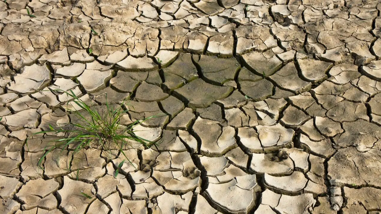 Journée mondiale de lutte contre la désertification et la sécheresse le 17 juin 2024 Journée mondiale de lutte contre la désertification et la sécheresse le 17 juin 2024