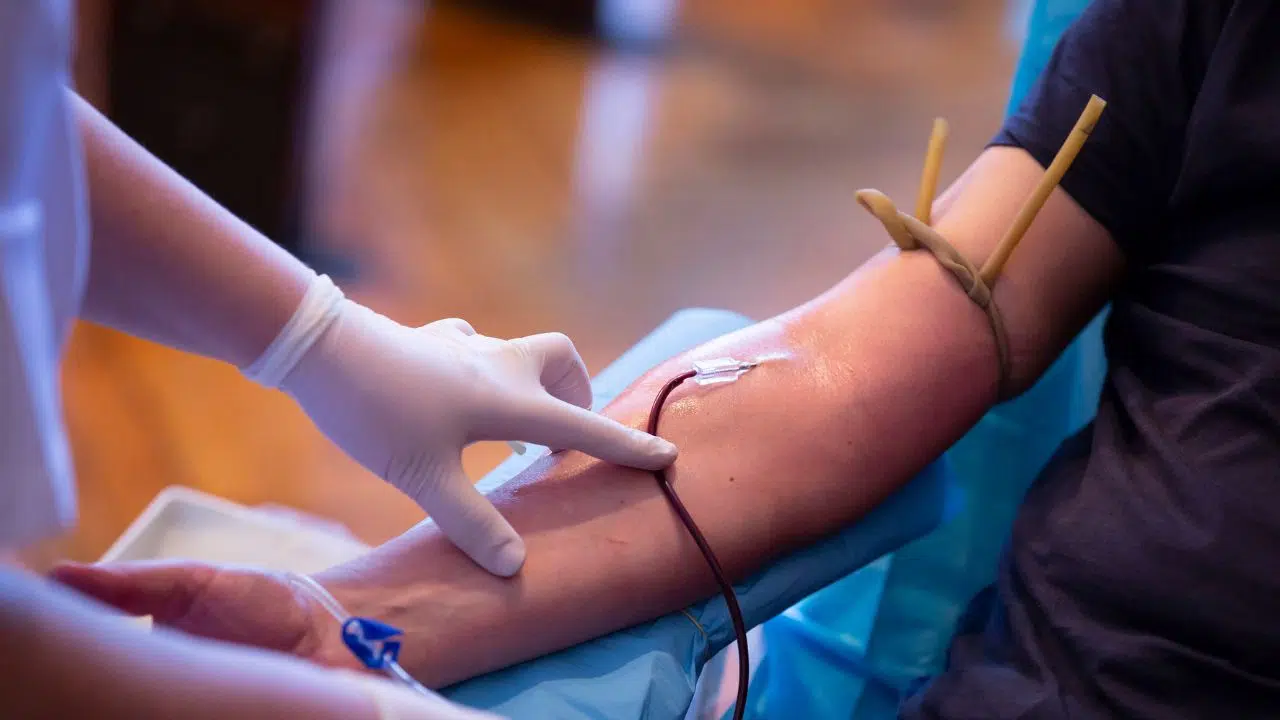 Journée mondiale des donneurs de sang le 14 juin 2024 Journée mondiale des donneurs de sang le 14 juin 2024