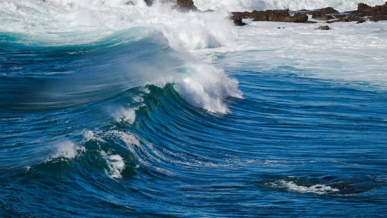 Journée mondiale des océans le 8 juin 2024 Journée mondiale des océans le 8 juin 2024