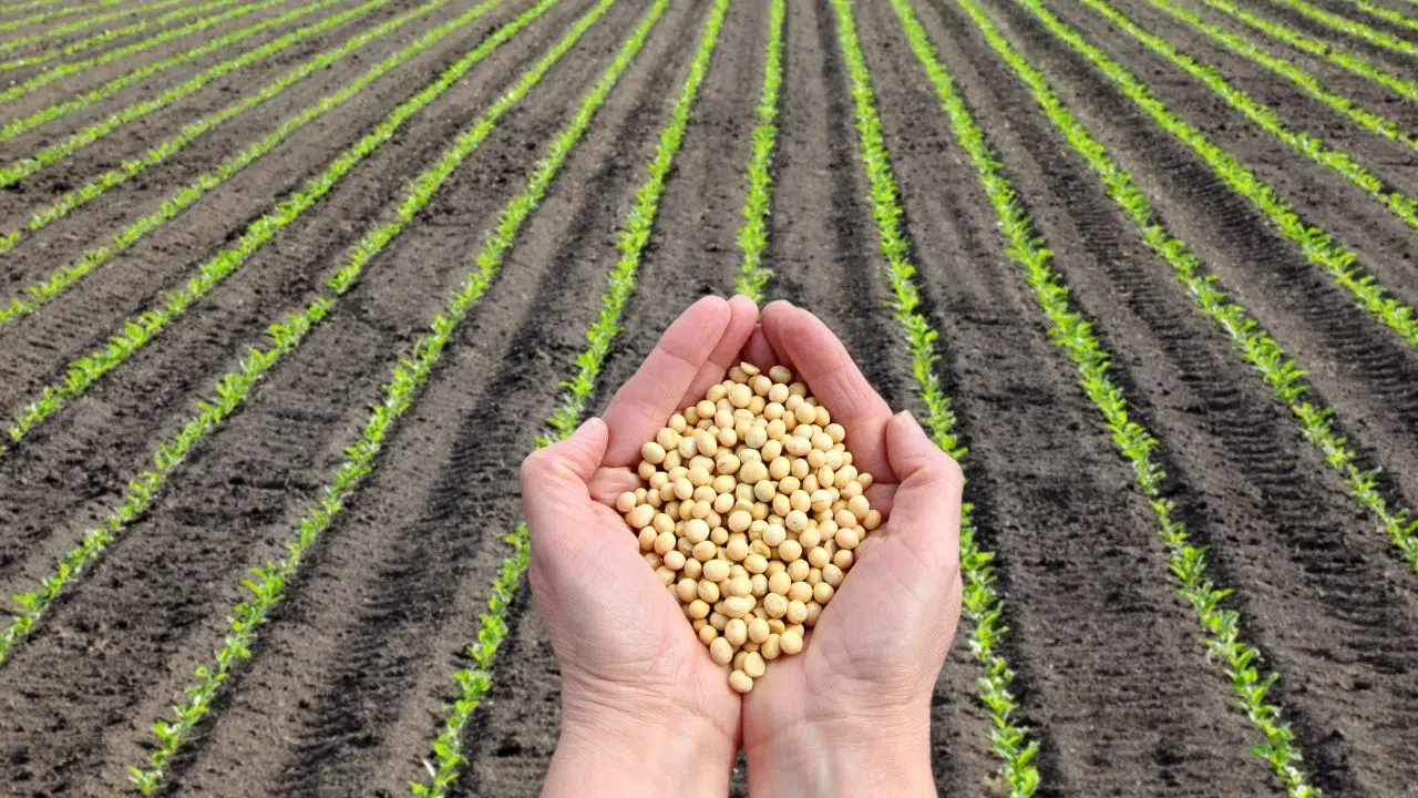 Journée nationale de l'agriculture le 16 juin 2024 Journée nationale de l'agriculture le 16 juin 2024
