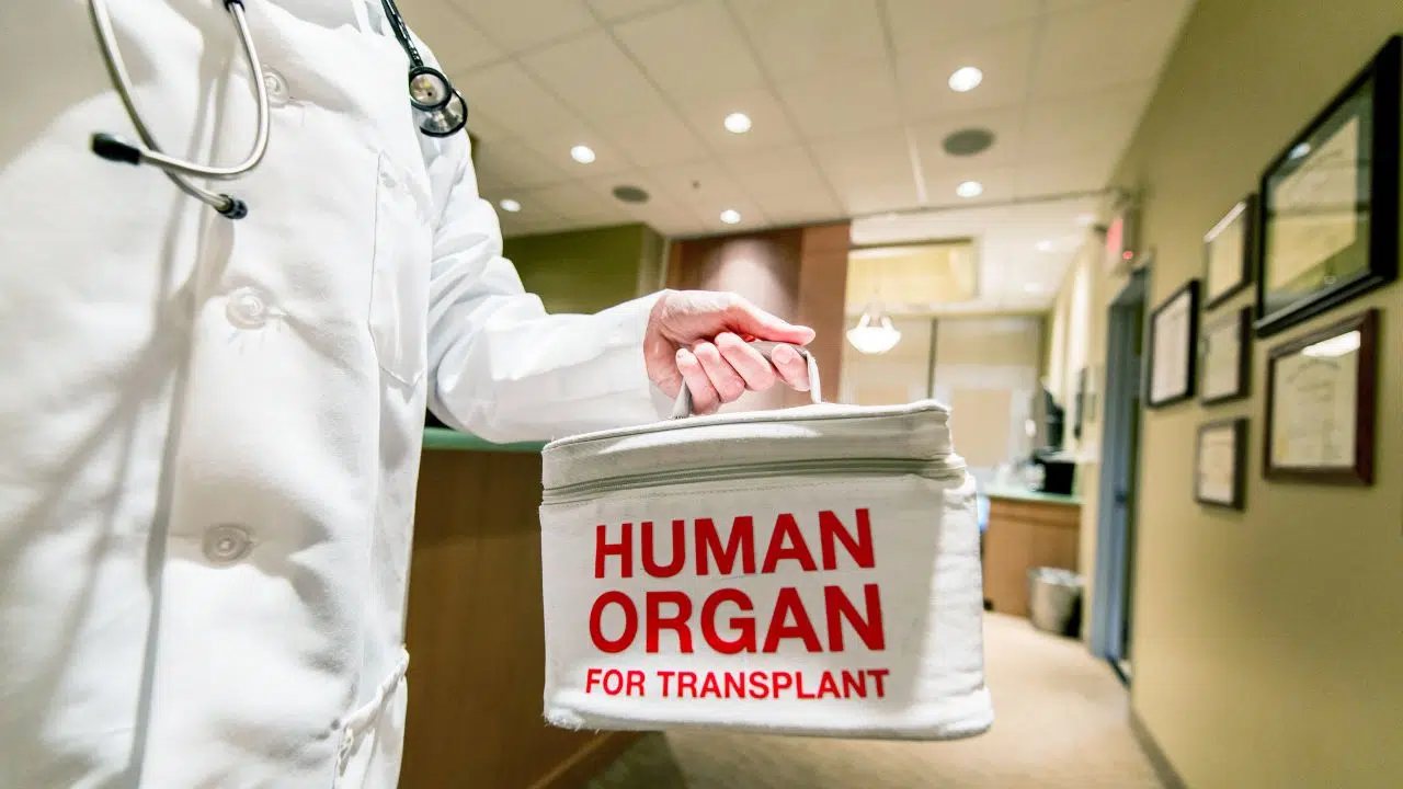 Journée nationale de réflexion sur le don d'organes et la greffe le 22 juin 2023 Journée nationale de réflexion sur le don d'organes et la greffe le 22 juin 2023