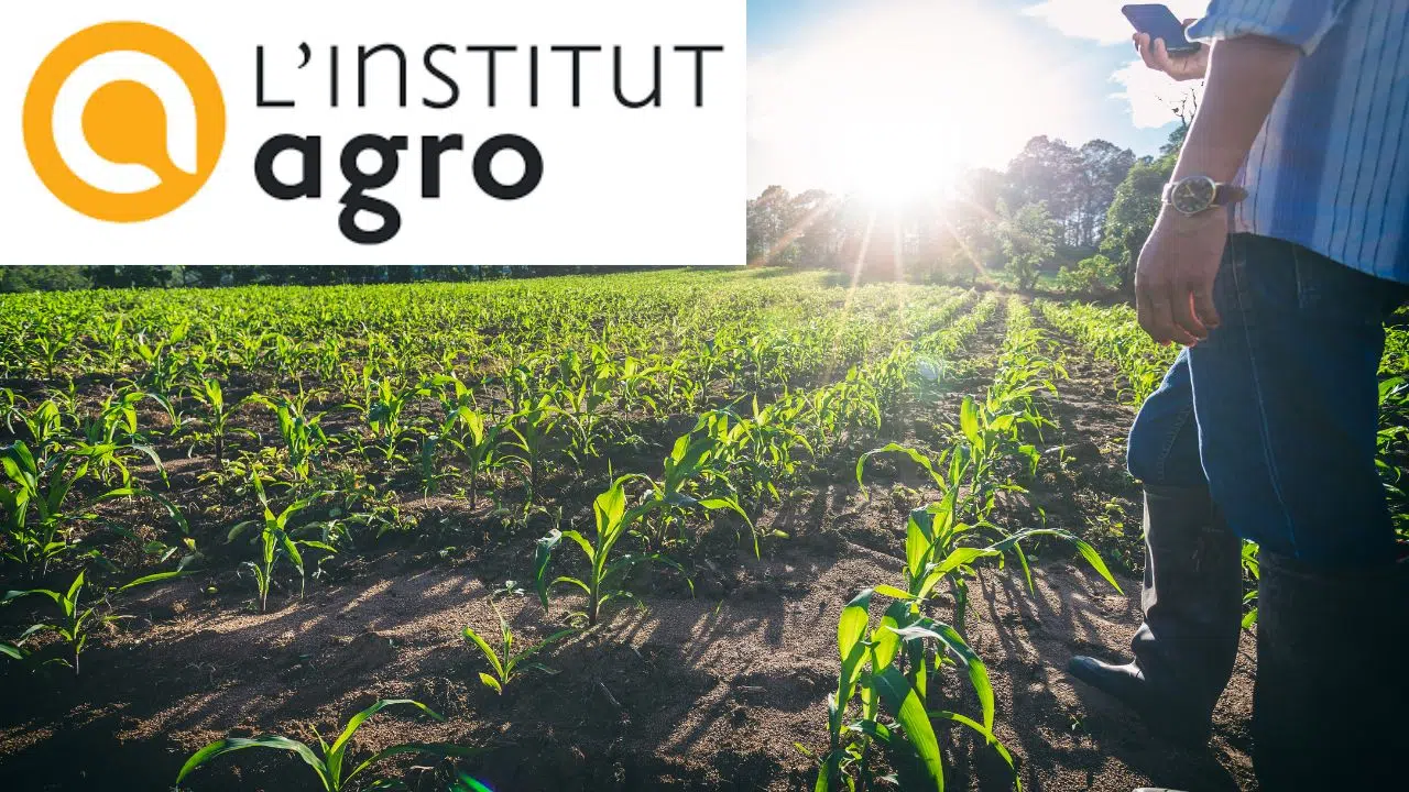 L'Institut Agro se hisse à la 21e place mondiale du classement THE Impact 2024 L'Institut Agro se hisse à la 21e place mondiale du classement THE Impact 2024