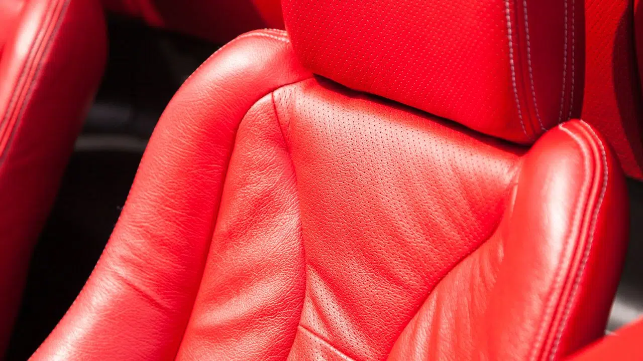 Le futur est fongique Votre sac à main ou votre sellerie de voiture en champignon Le futur est fongique Votre sac à main ou votre sellerie de voiture en champignon