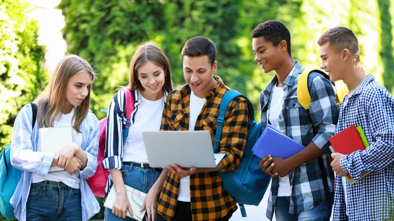 Les formations les plus plébiscitées en 2024 via Parcoursup Les formations les plus plébiscitées en 2024 via Parcoursup