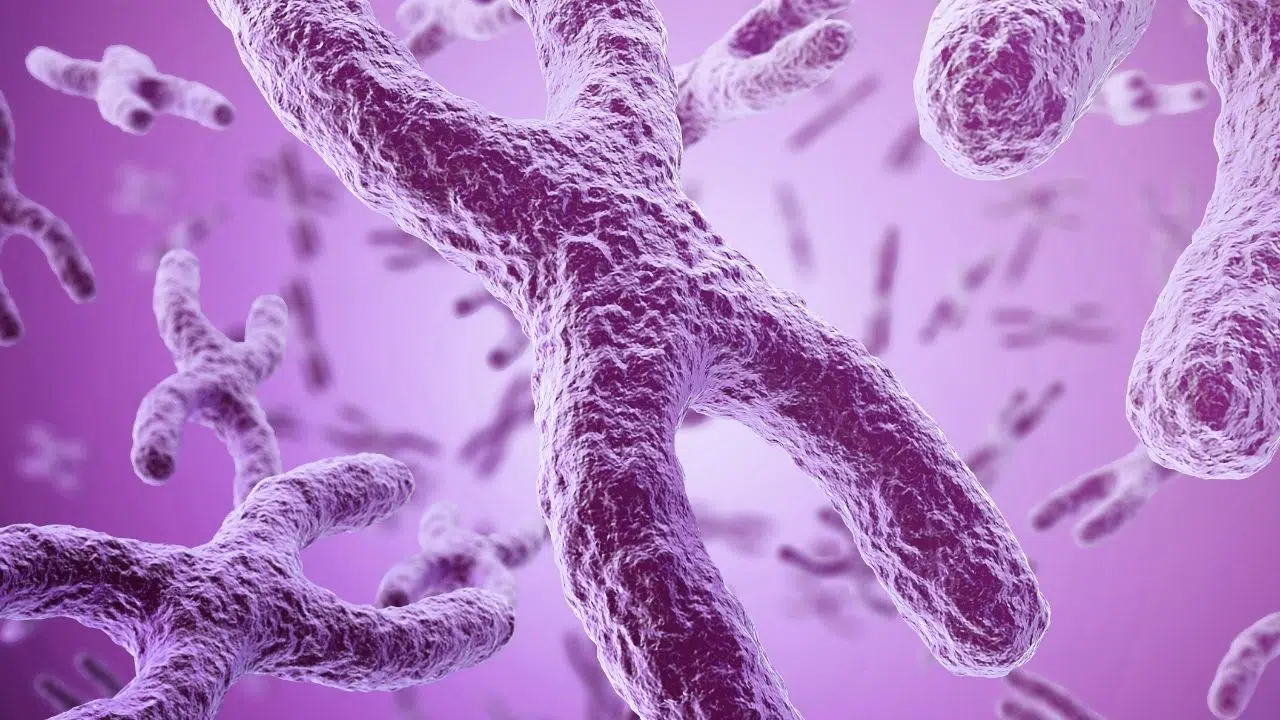 Thérapie génique Le projet Européen qui promet de soigner le vitiligo sévère ou certains cancers Thérapie génique Le projet Européen qui promet de soigner le vitiligo sévère ou certains cancers