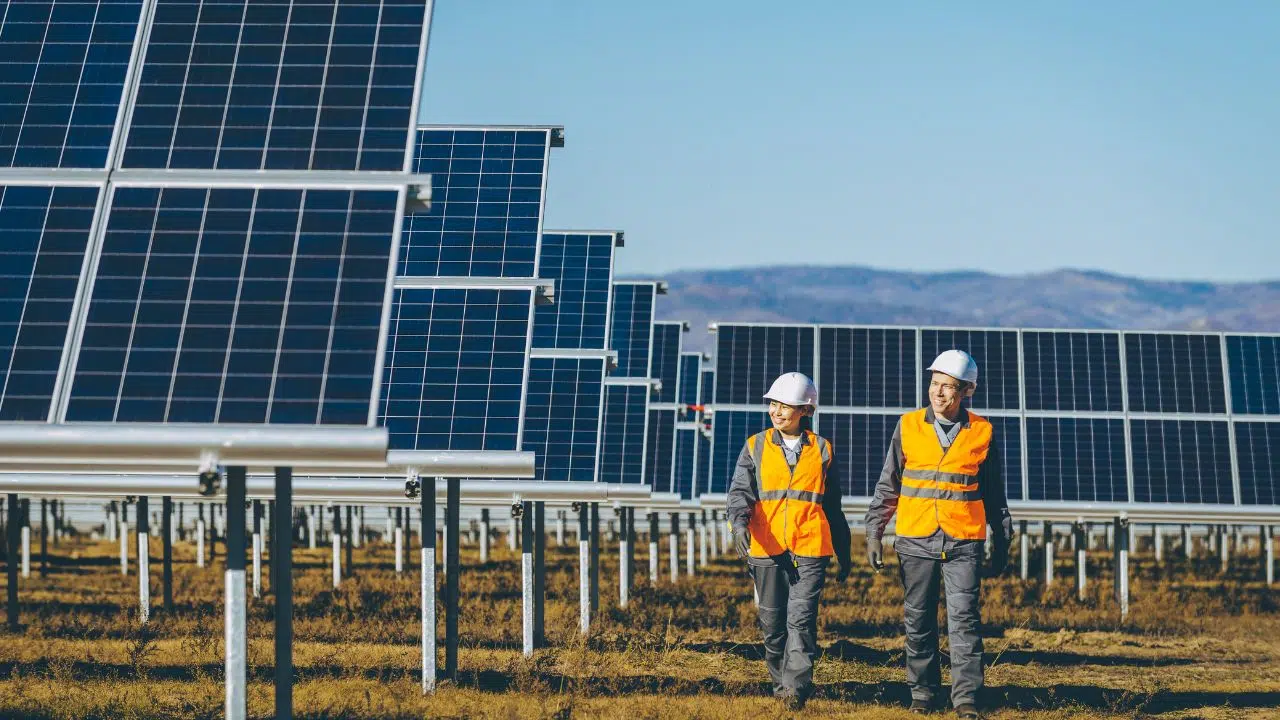 Création d'une coalition pour l'énergie solaire en France La suntech Création d'une coalition pour l'énergie solaire en France La suntech