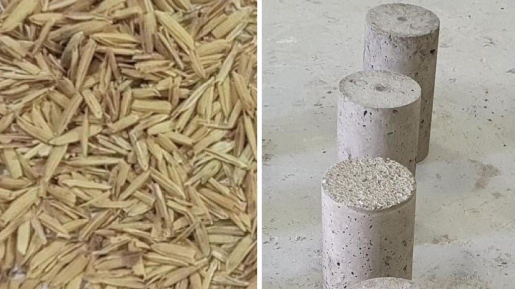 Le riz, matériau d'avenir ?