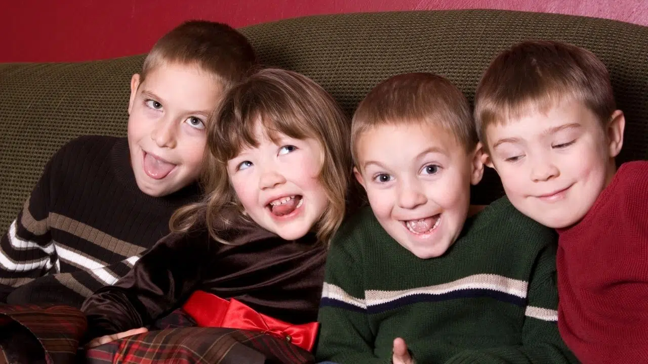 Journée internationale des cousins et cousines du 24 juillet 2024 Journée internationale des cousins et cousines du 24 juillet 2024