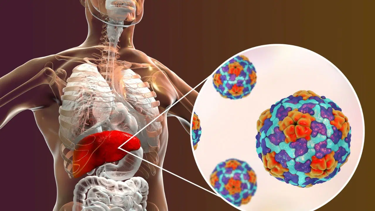 Journée mondiale contre l'hépatite du 28 juillet 2024 Journée mondiale contre l'hépatite du 28 juillet 2024