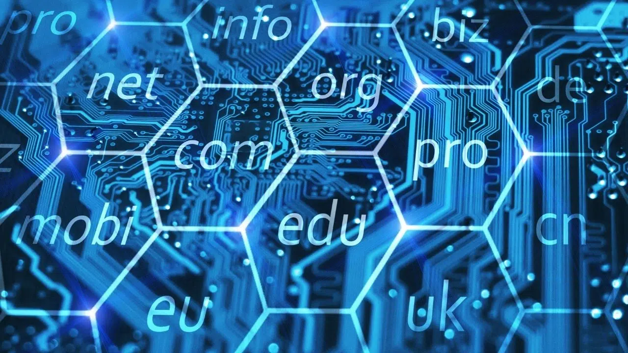 Stabilité et évolution du marché des noms de domaine au second trimestre 2024 Stabilité et évolution du marché des noms de domaine au second trimestre 2024