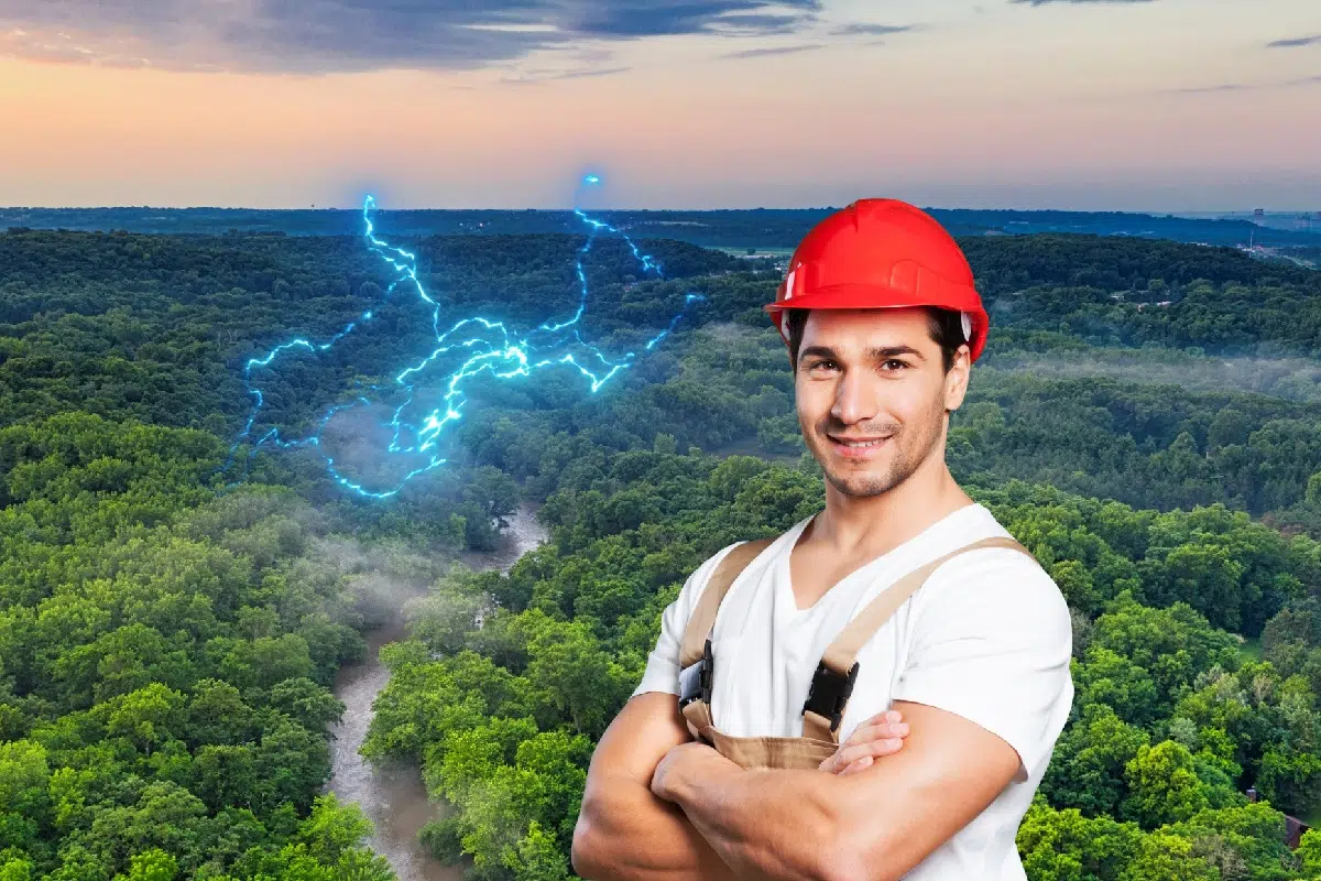 La France investit plus d'un milliards et demi d'euros dans la biomasse ligneuse mais qu'est-ce que c'est et pourquoi investir autant ? La France investit plus d'un milliards et demi d'euros dans la biomasse ligneuse mais qu'est-ce que c'est et pourquoi investir autant ?