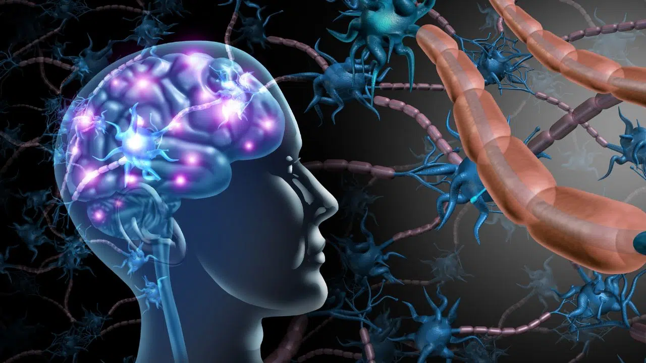 Ces neurones magiques qui annulent la douleur Effet placebo déchiffré par la science