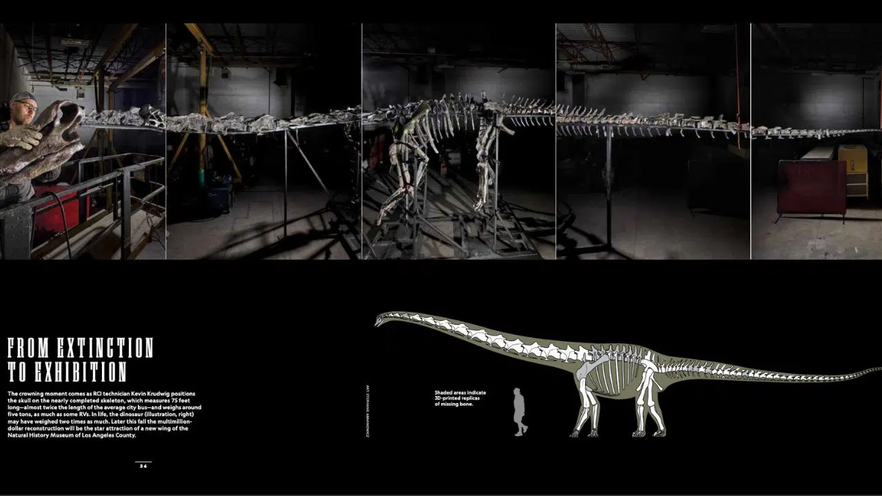 Découverte exceptionnelle d'une nouvelle espèce de dinosaure : Gnatalie le dinosaure vert Découverte exceptionnelle d'une nouvelle espèce de dinosaure : Gnatalie le dinosaure vert
