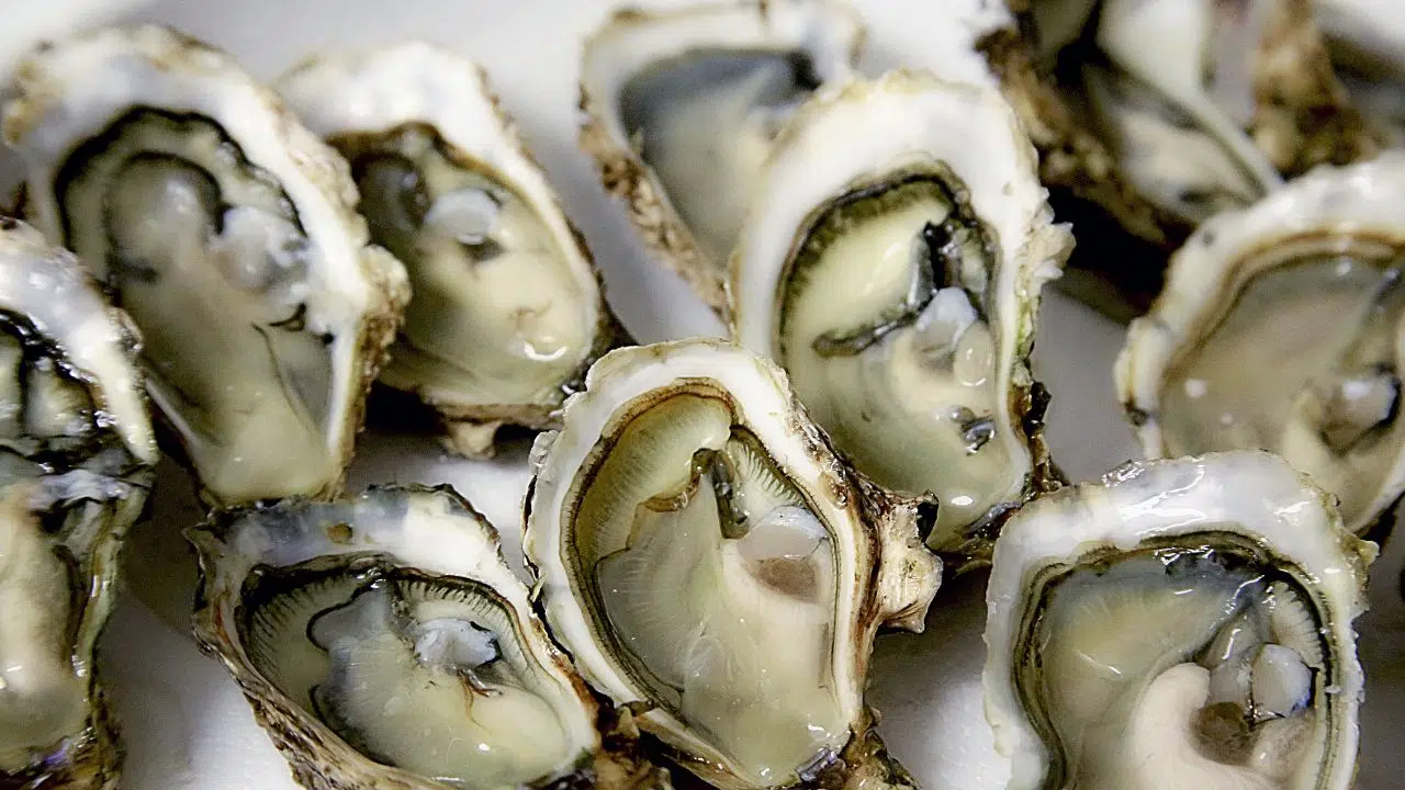 Journée internationale de l'huître le 5 Août 2024